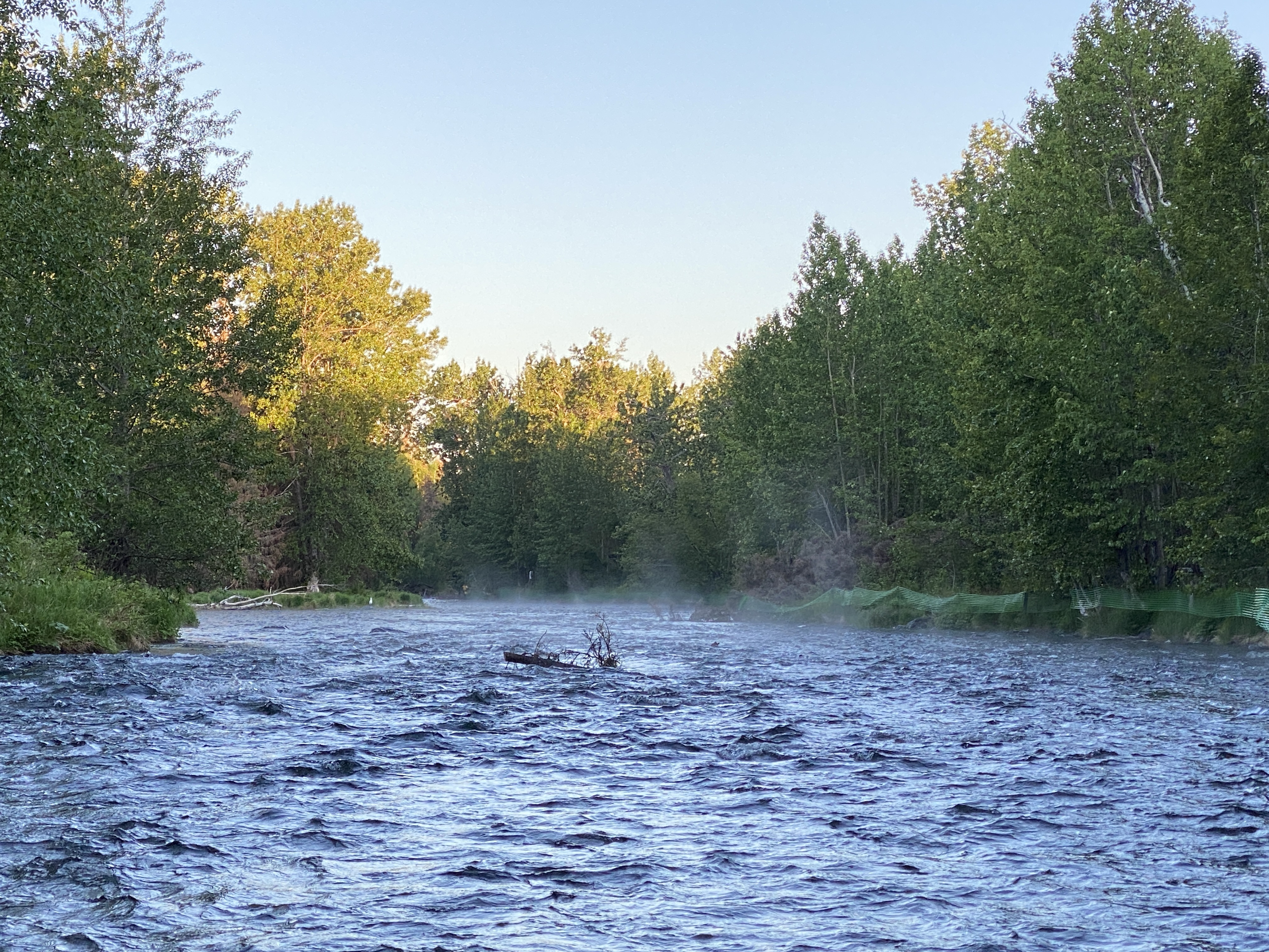 Quartz Creek and the Russian River